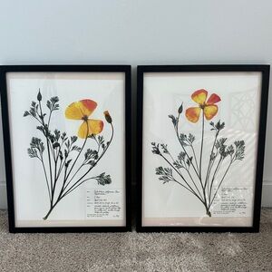 Framed Pressed Floral Wall Art